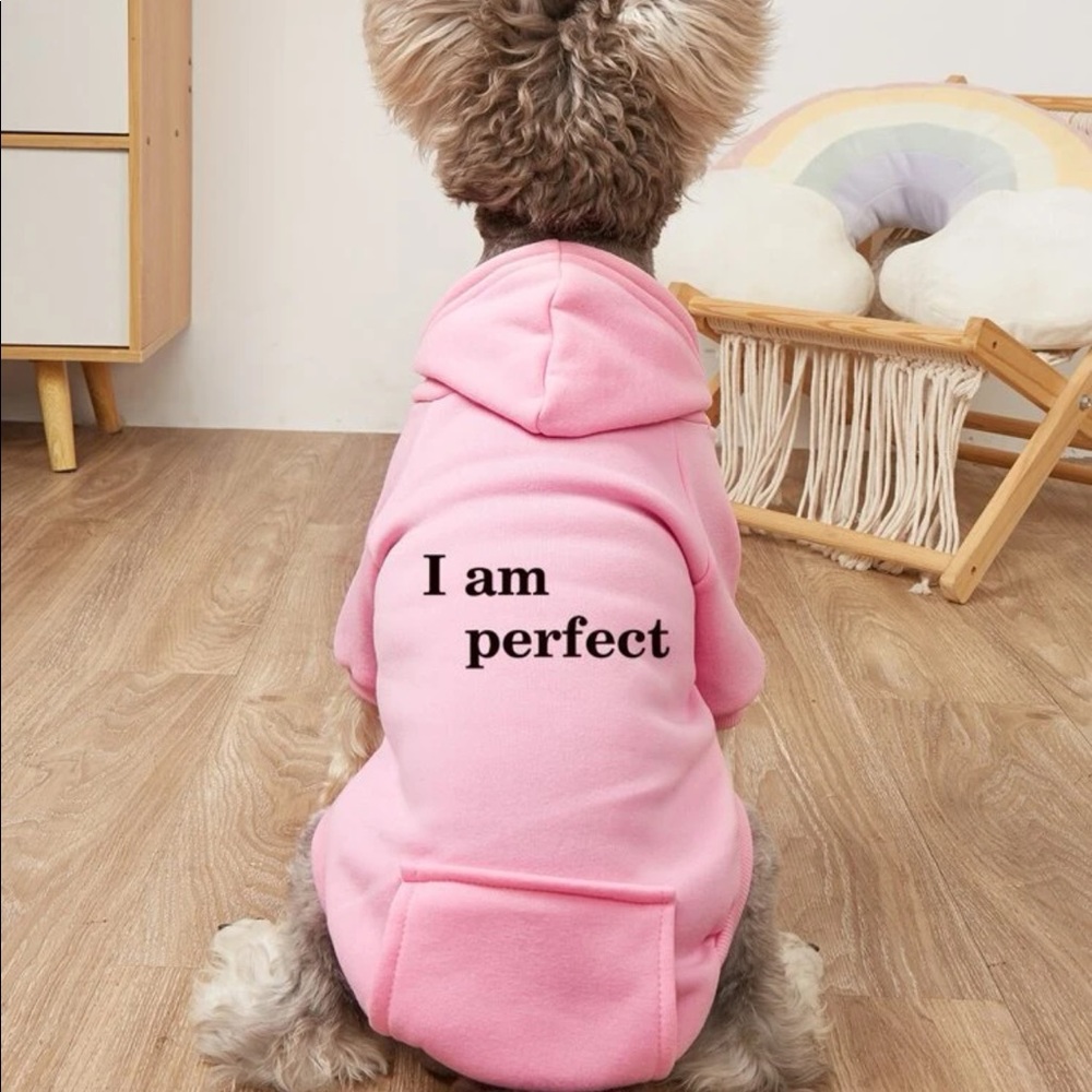 Graphic Print Pet Hoodie 🐕